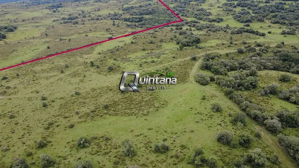 Fazenda, 240 hectares - Foto 1