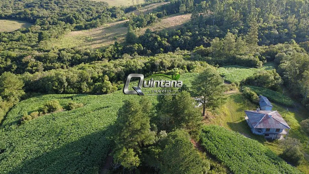 Chácara, 3 quartos, 4 hectares - Foto 2