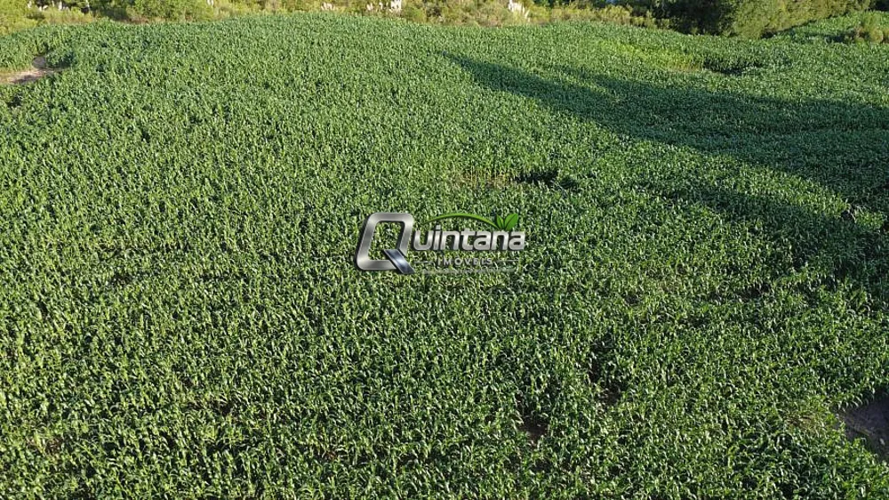 Chácara, 3 quartos, 4 hectares - Foto 3