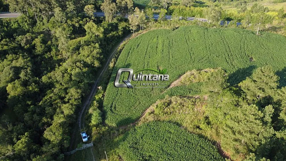 Chácara, 3 quartos, 4 hectares - Foto 4