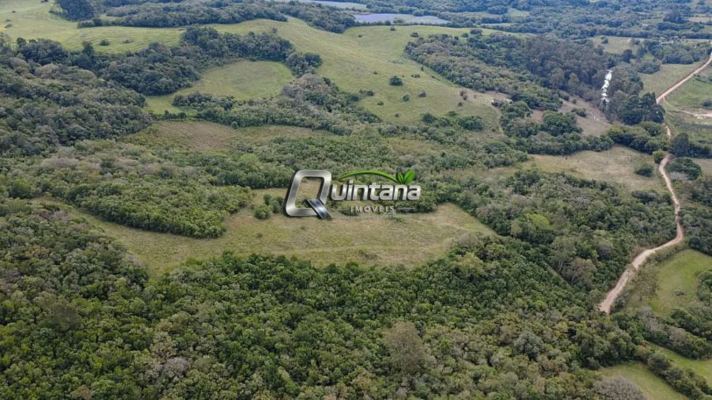 Fazenda, 15 hectares - Foto 2