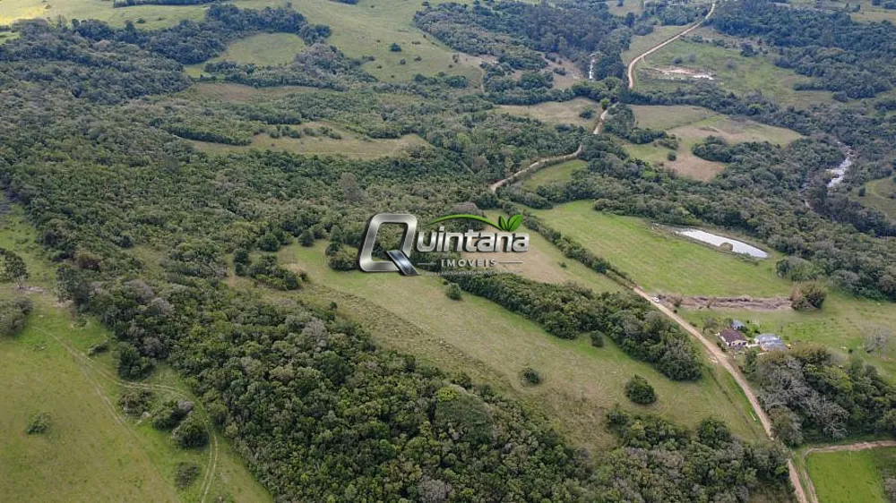 Fazenda, 15 hectares - Foto 4