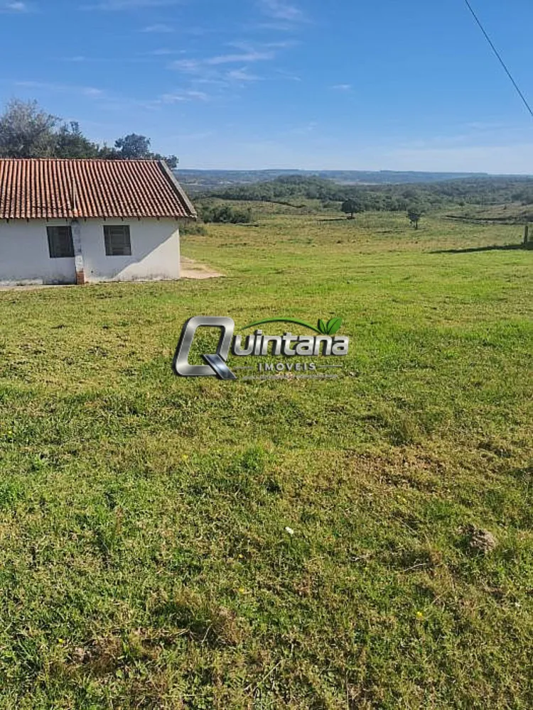 Fazenda, 414 hectares - Foto 6