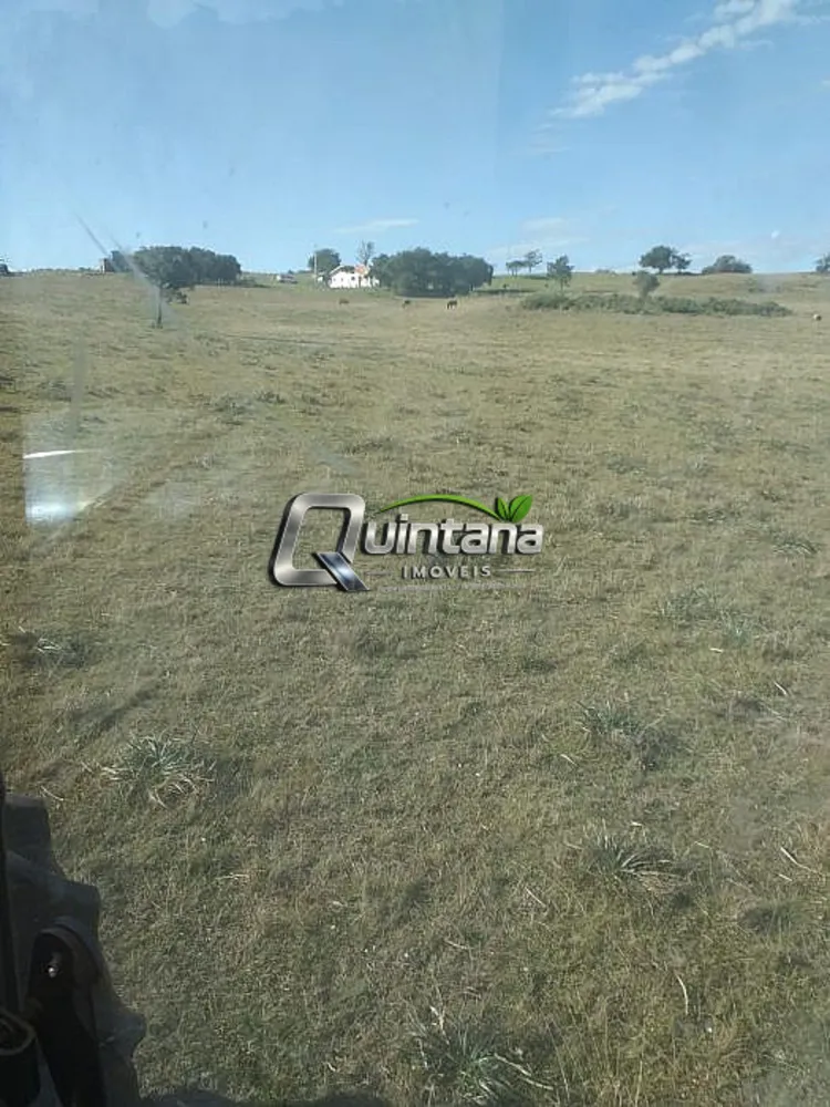 Fazenda, 414 hectares - Foto 8