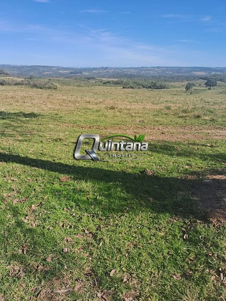 Fazenda, 414 hectares - Foto 4
