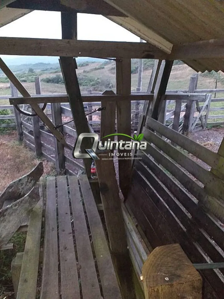 Fazenda, 414 hectares - Foto 7