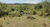 Fazenda, 77 hectares - Foto 1