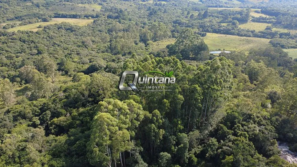 Sítio, 2 quartos, 6 hectares - Foto 4