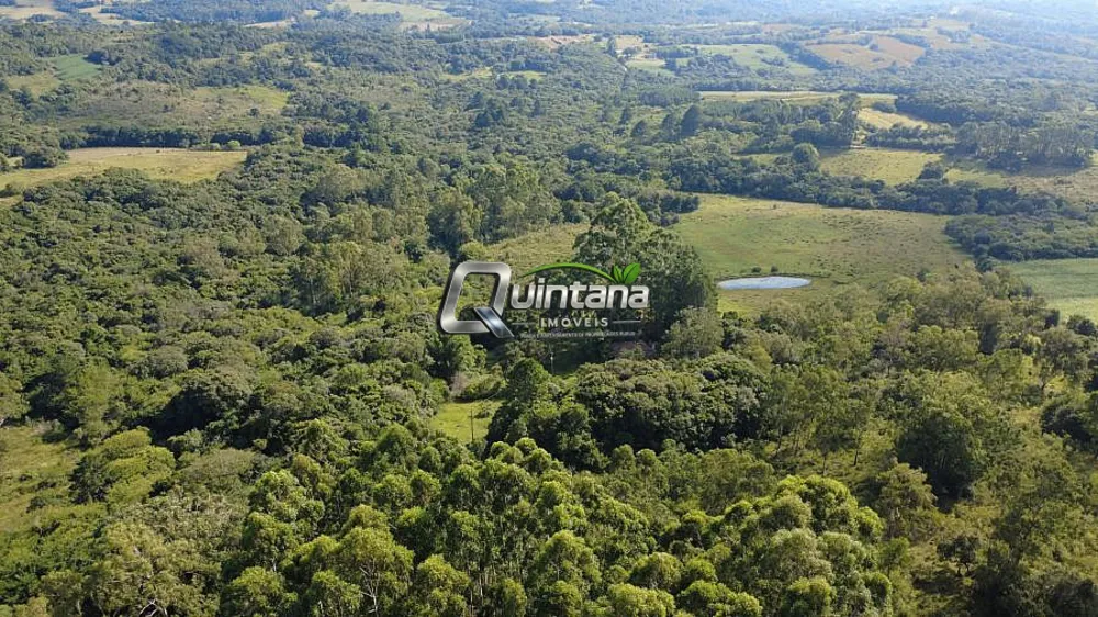 Sítio, 2 quartos, 6 hectares - Foto 12