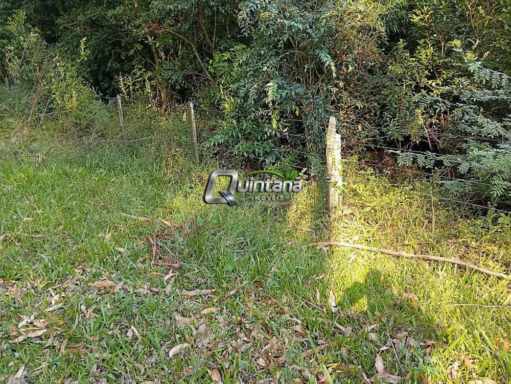 Sítio, 2 quartos, 6 hectares - Foto 1