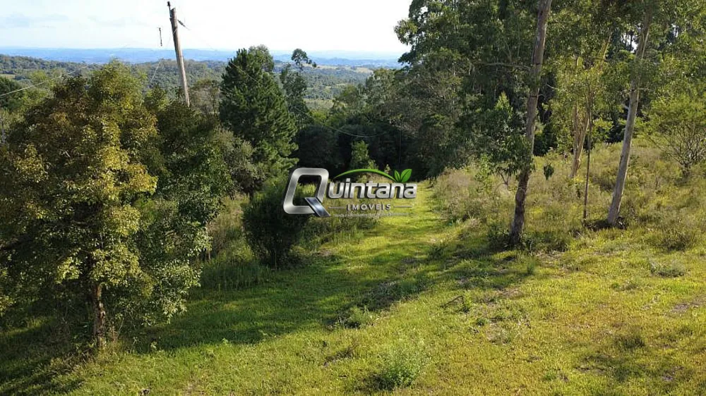 Sítio, 2 quartos, 6 hectares - Foto 10