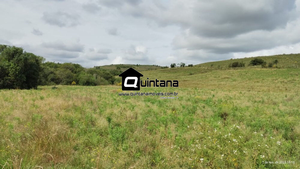 Fazenda à venda com 2 quartos, 1010000m² - Foto 1
