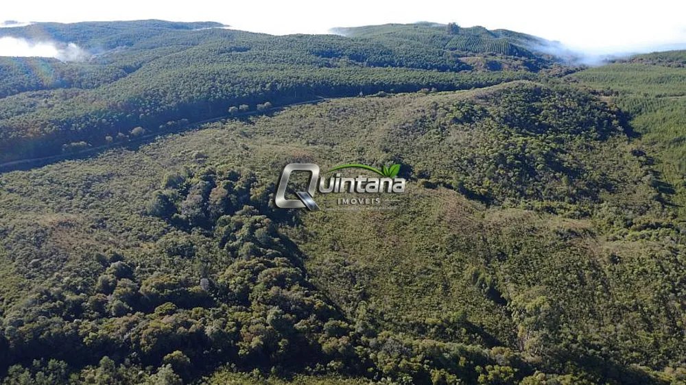 Fazenda, 470 hectares - Foto 3