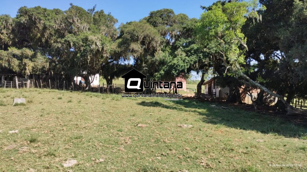 Fazenda à venda com 2 quartos, 180000m² - Foto 7