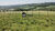 Fazenda-Sítio-Chácara, 18 hectares - Foto 6