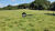 Fazenda-Sítio-Chácara, 18 hectares - Foto 8