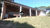 Fazenda, 18 hectares - Foto 4
