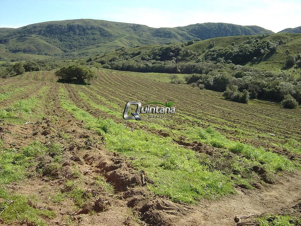 Fazenda, 99 hectares - Foto 1