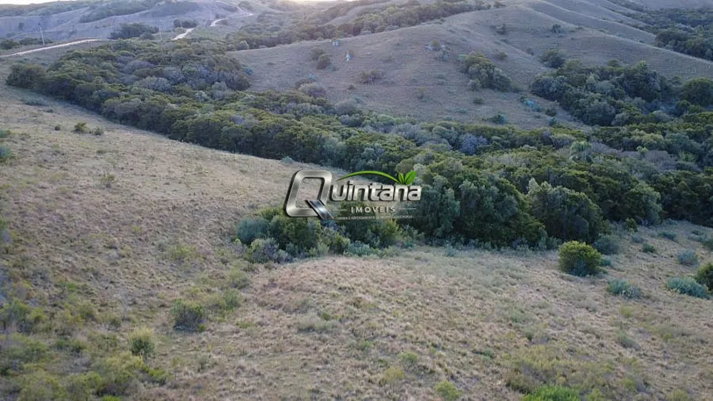 Fazenda, 370 hectares - Foto 3