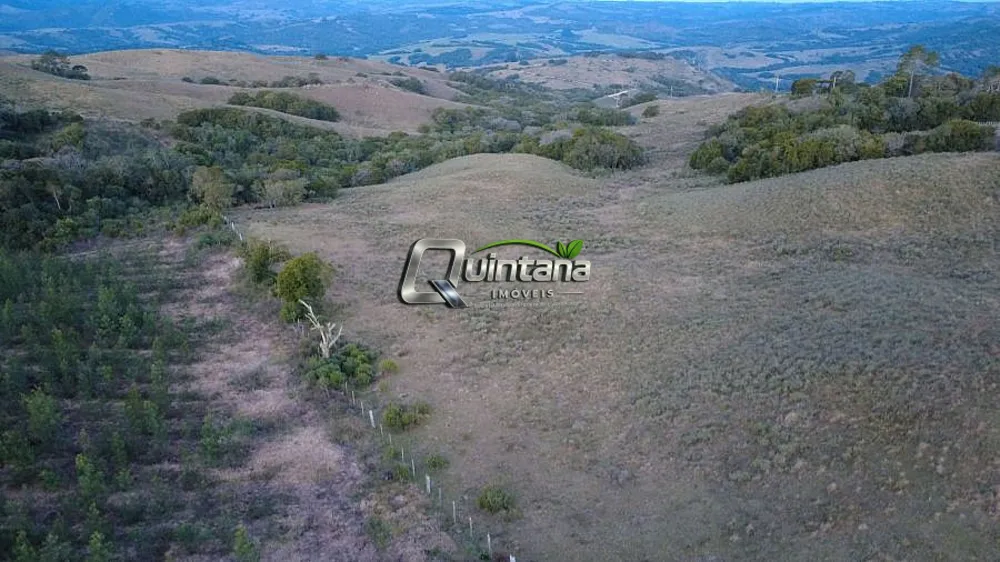 Fazenda, 370 hectares - Foto 7