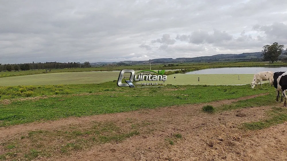 Sítio, 3 quartos, 66 hectares - Foto 6