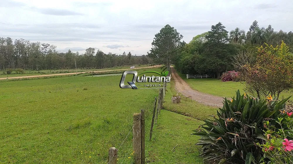 Sítio, 3 quartos, 66 hectares - Foto 7
