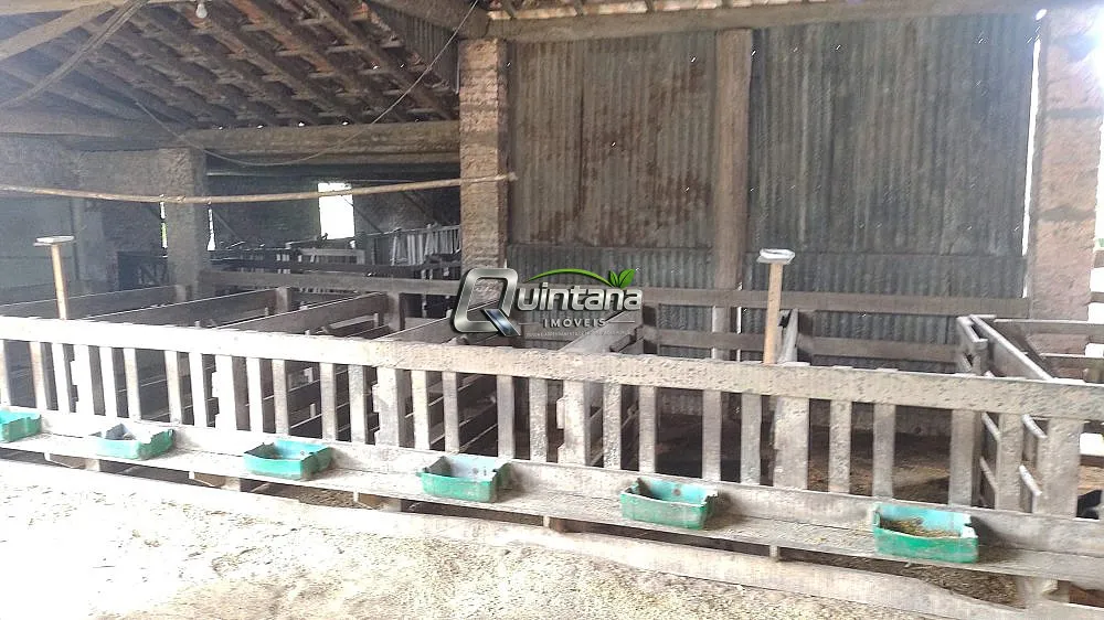 Sítio, 3 quartos, 66 hectares - Foto 14