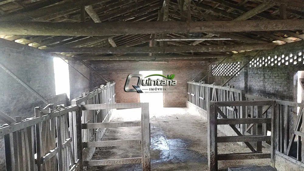 Sítio, 3 quartos, 66 hectares - Foto 12