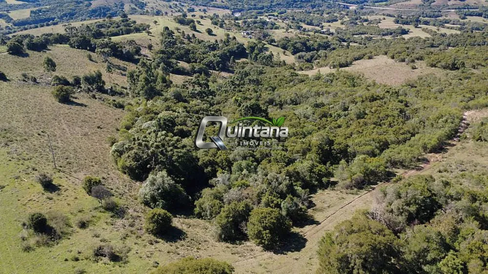 Fazenda, 83 hectares - Foto 4