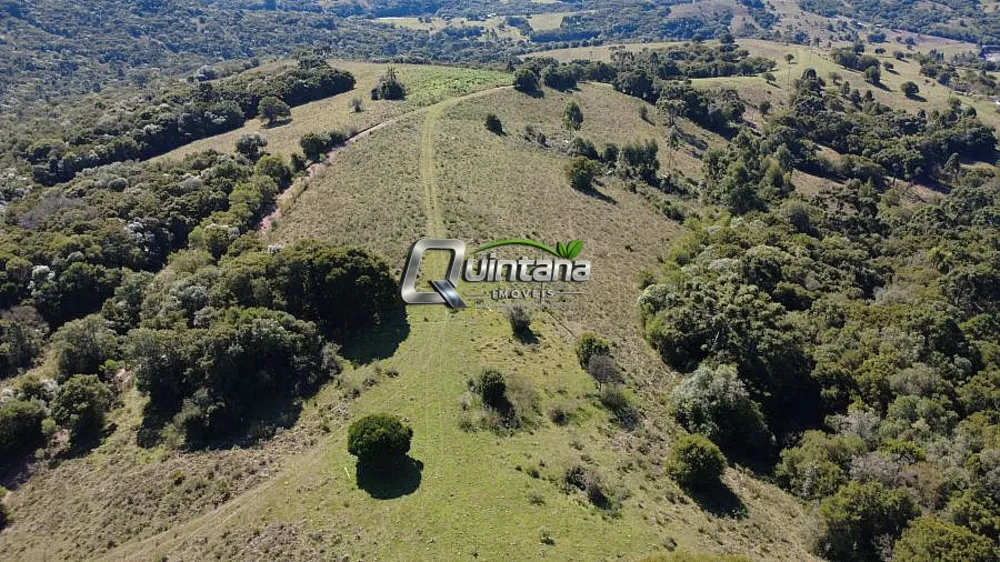 Fazenda, 83 hectares - Foto 2