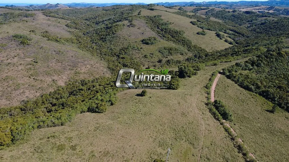 Fazenda, 83 hectares - Foto 12