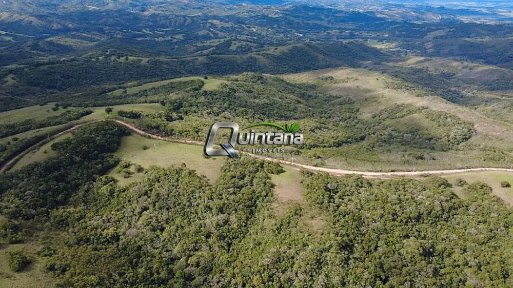 Fazenda, 83 hectares - Foto 6