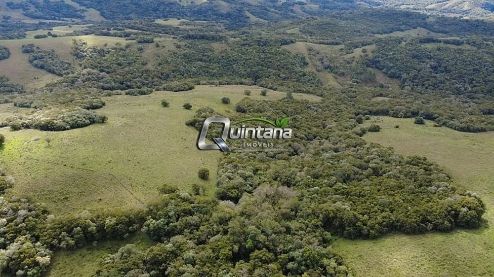 Fazenda, 83 hectares - Foto 4