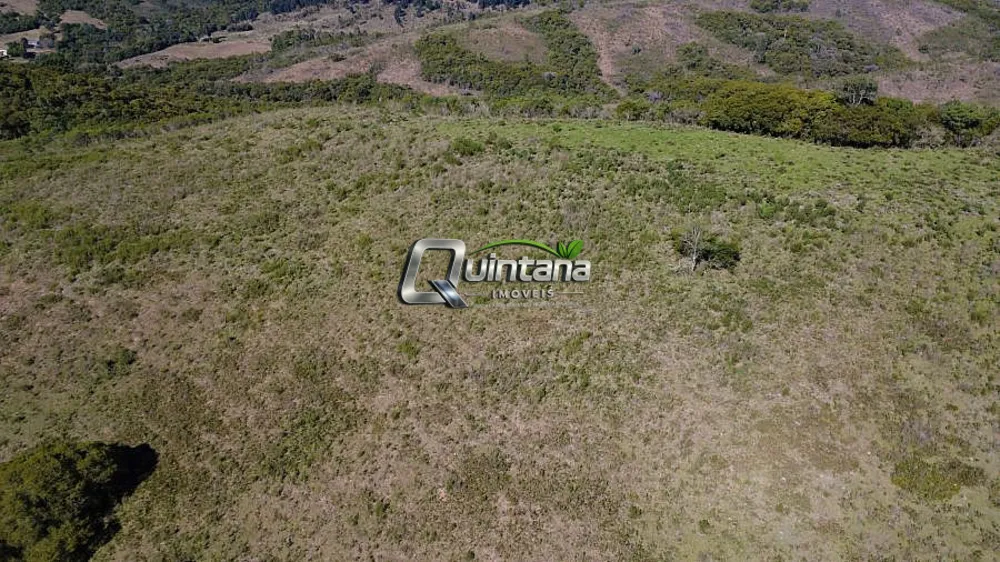 Fazenda, 83 hectares - Foto 1