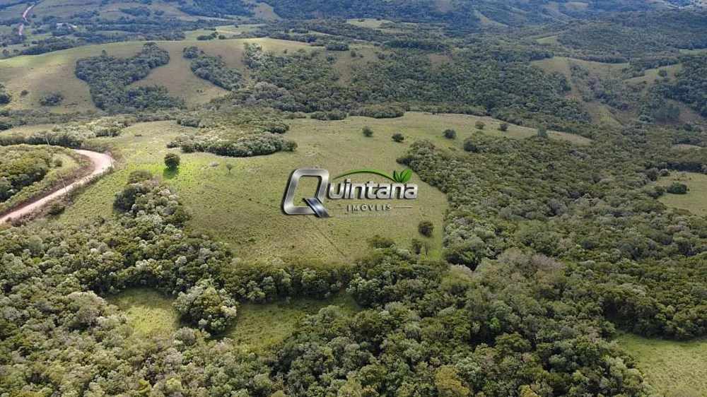 Fazenda, 83 hectares - Foto 3