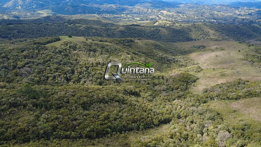 Fazenda, 83 hectares - Foto 8