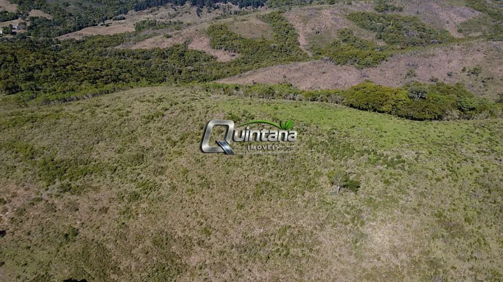 Fazenda, 83 hectares - Foto 6