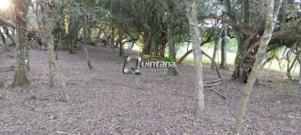 Fazenda, 23 hectares - Foto 12