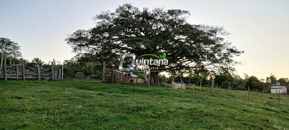 Fazenda, 23 hectares - Foto 9