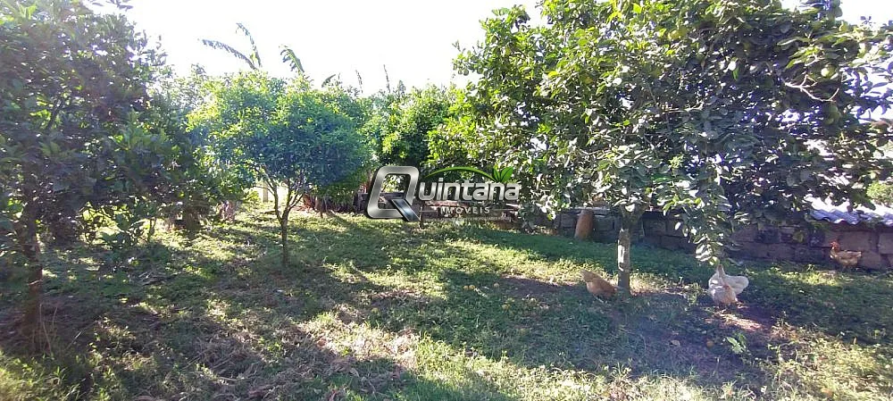 Fazenda, 23 hectares - Foto 13