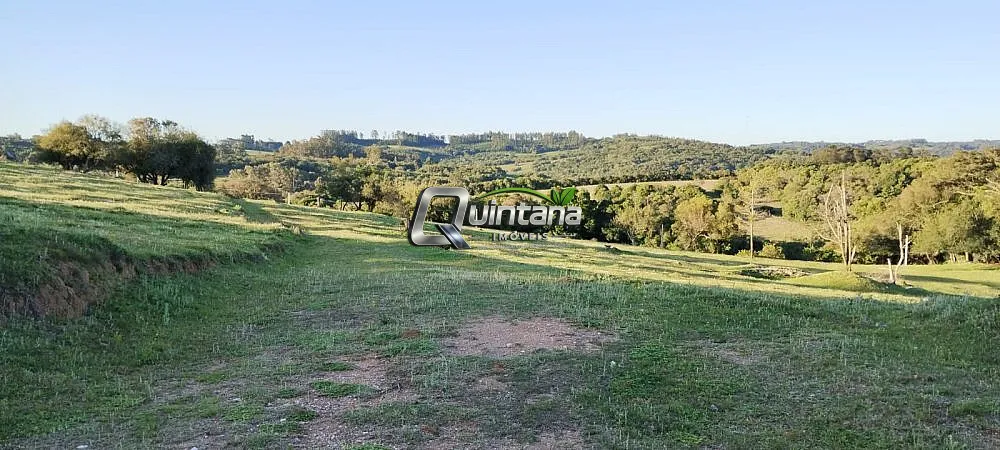 Fazenda, 23 hectares - Foto 10