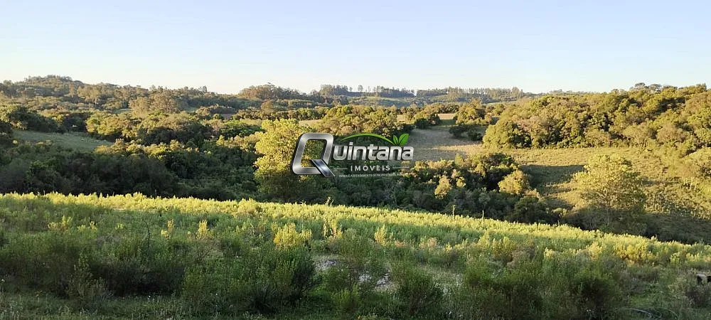 Fazenda, 23 hectares - Foto 7