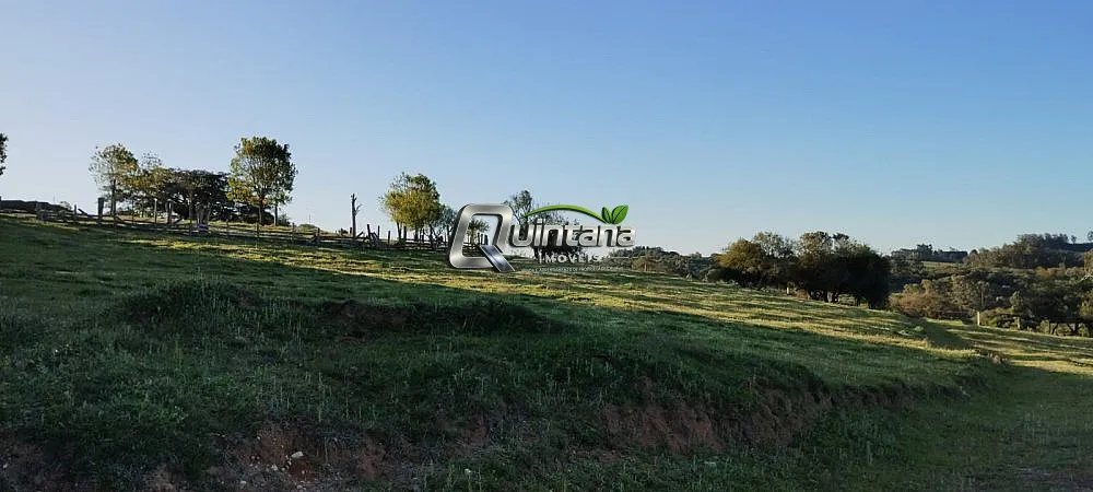 Fazenda, 23 hectares - Foto 3
