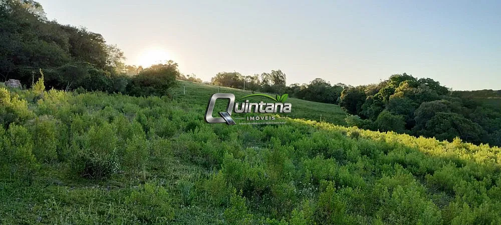 Fazenda, 23 hectares - Foto 6