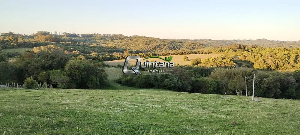 Fazenda, 23 hectares - Foto 4
