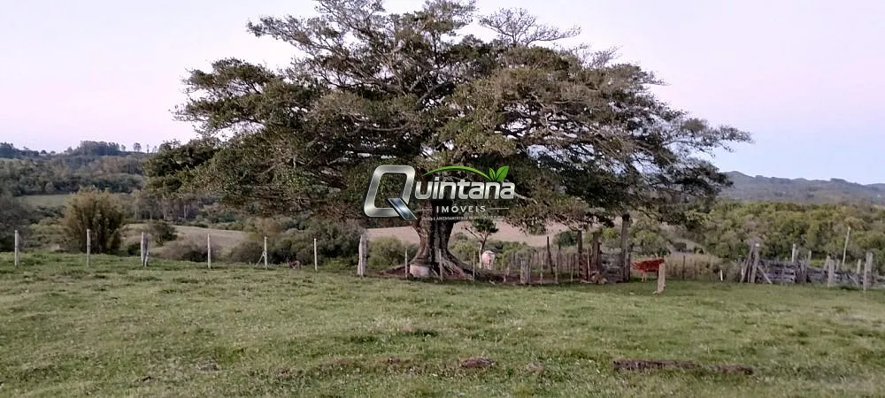 Fazenda, 23 hectares - Foto 14