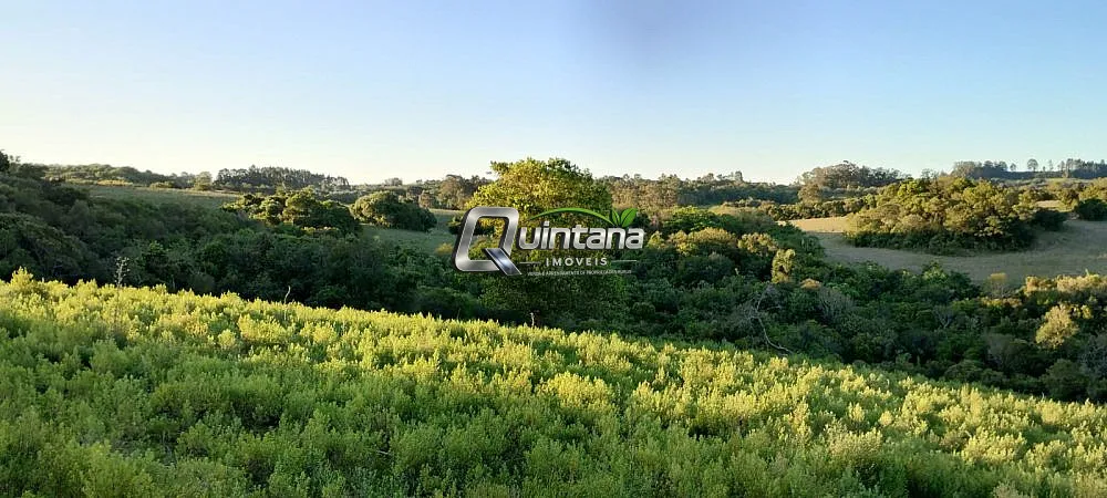 Fazenda, 23 hectares - Foto 8