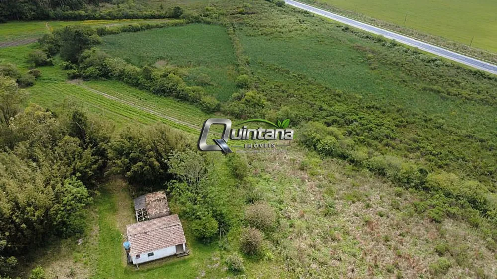 Terreno, 4 hectares - Foto 1
