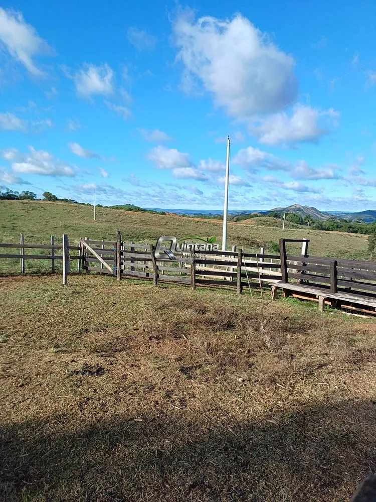 Fazenda, 92 hectares - Foto 1
