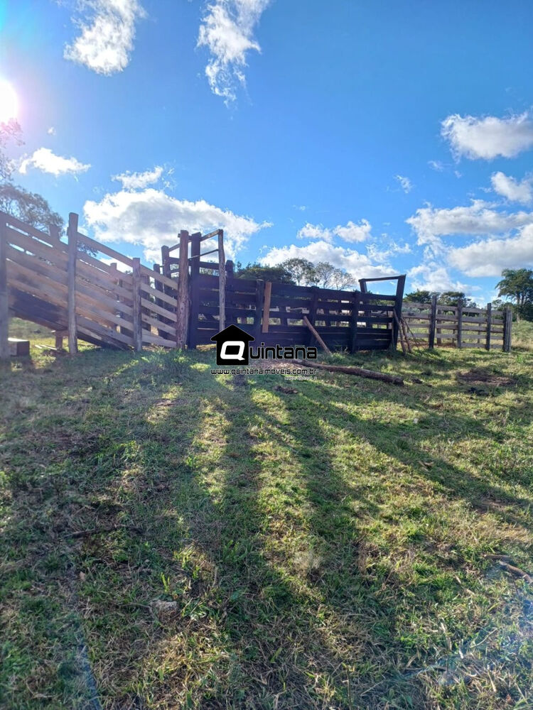 Fazenda à venda com 2 quartos, 920000m² - Foto 3
